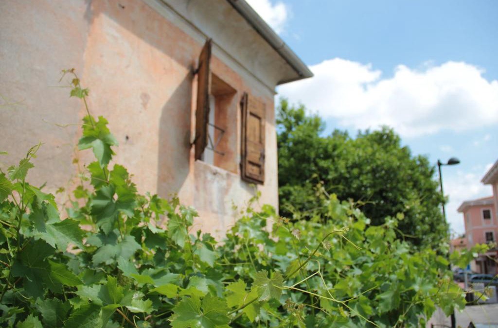 Angarano House | Alla vigna