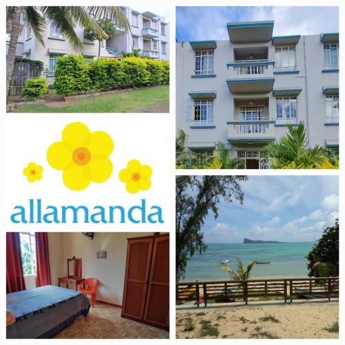 Bain Boeuf Apartment | Allamanda Apartments - 100m Bain Boeuf Beach