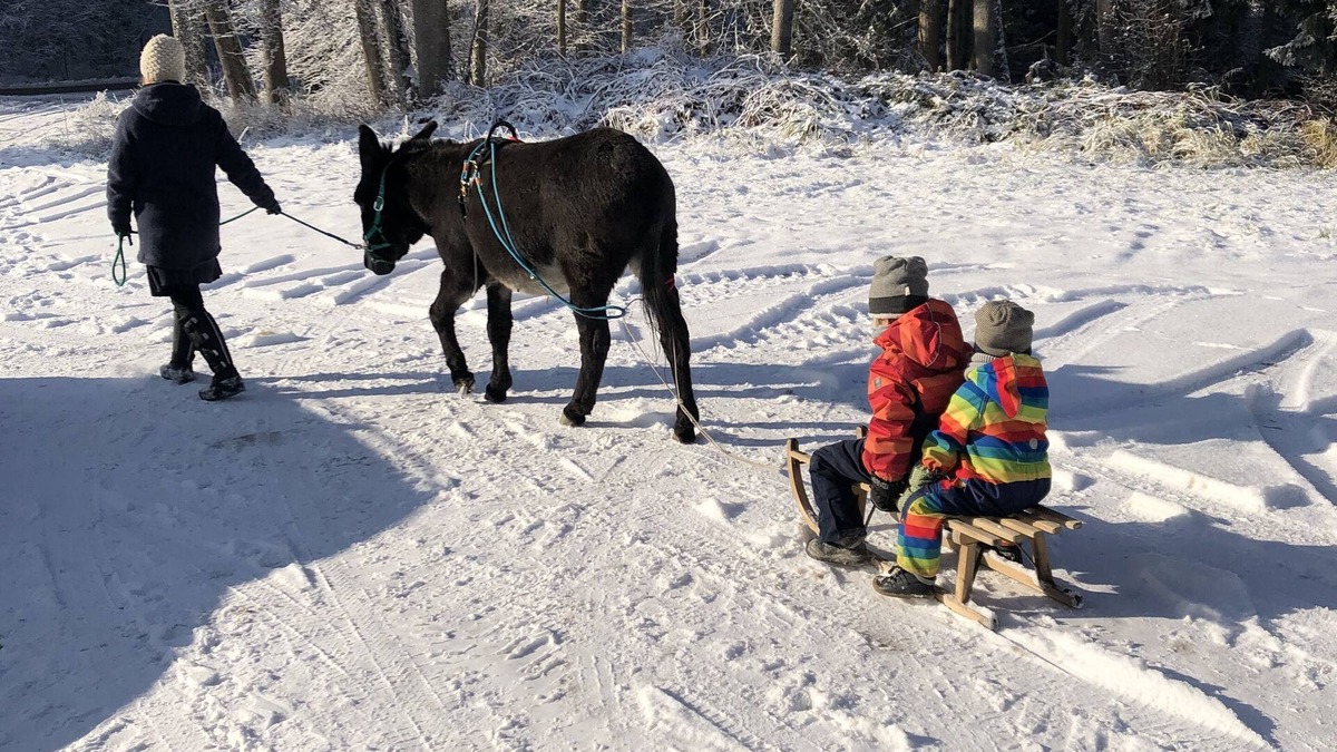 Unterallgau Apartment | Allgäu peace and serenity in the middle of nature, on a donkey farm