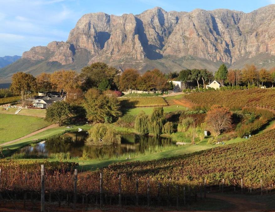 Cape Winelands House | Alluvia Boutique Winery & Luxury Accommodation