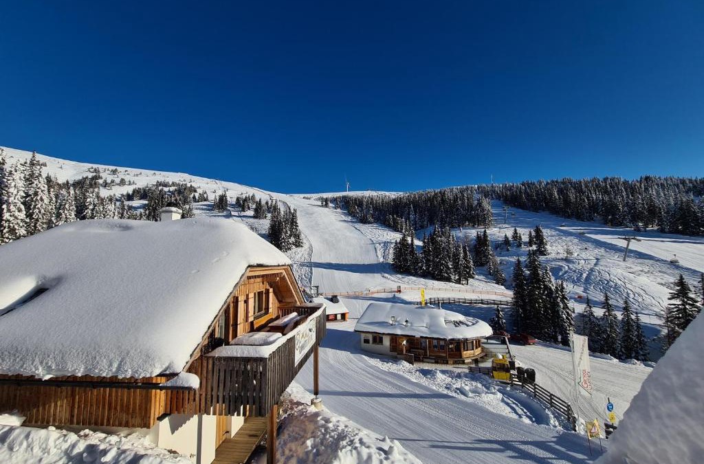 Schoenberg-Lachtal Apartment | Almhütte Lachtal