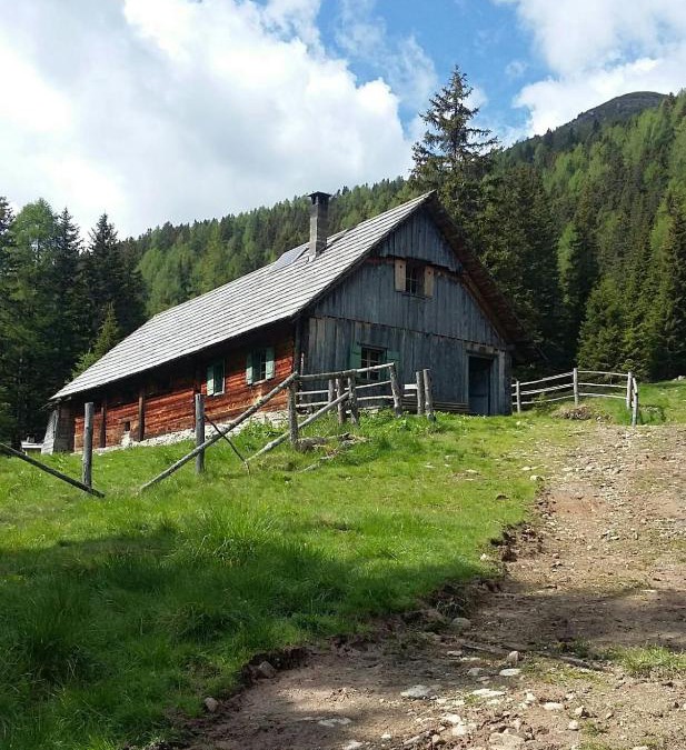 Ramingstein Ski Chalet | Almhütte Prem 1