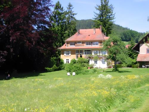 Schopfheim Apartment | Alpenblick-Steineckhof