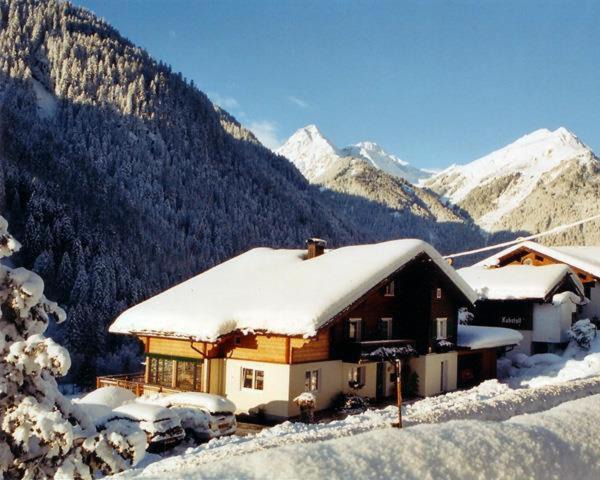 Sankt Gallenkirch Apartment | Alpenhaus Netzer