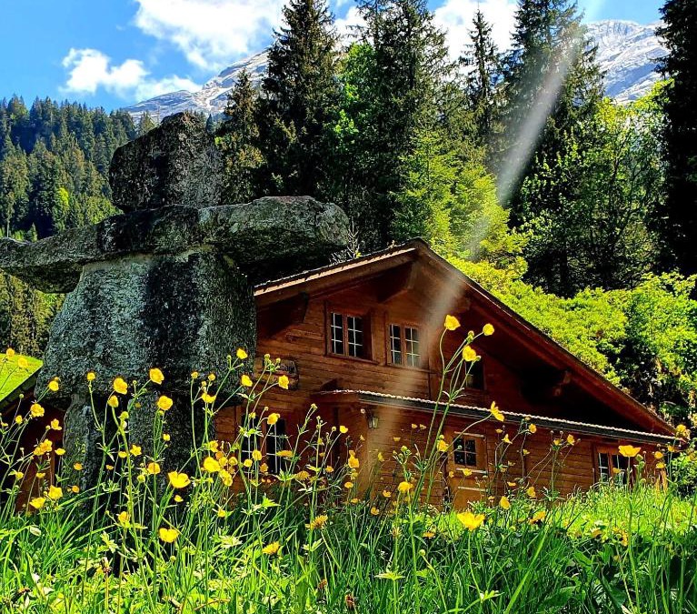 Schattenhalb Ski Chalet | Alpenlodge