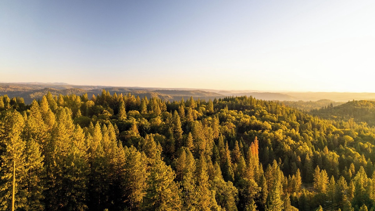 Iowa Hill House | Alpine Escapes. Welcome to our peaceful mountain retreat!