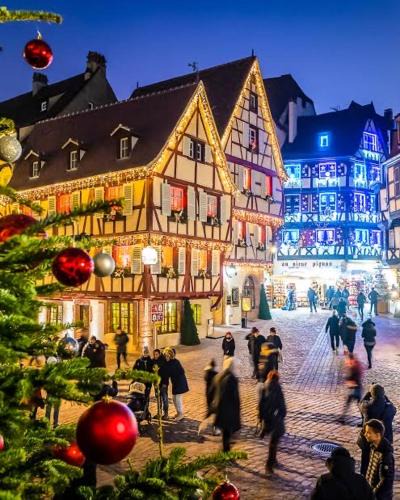 Oberhergheim Apartment | ALSACE Gîte 3étoiles prox Marchés de Noël Colmar, Eguisheim, parking, calme