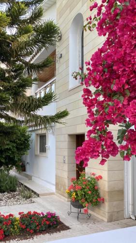 Politiko Apartment | AltaVita - Serviced upper house with heraldic features