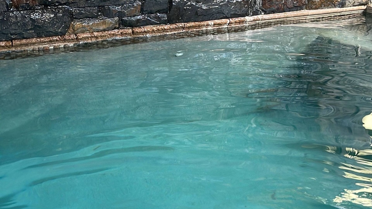 Placencia House | Alux House