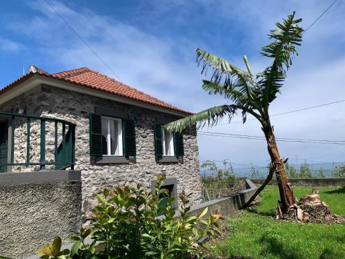 Porto Moniz House | Amélia's House