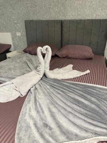 Constanta House | AmA
