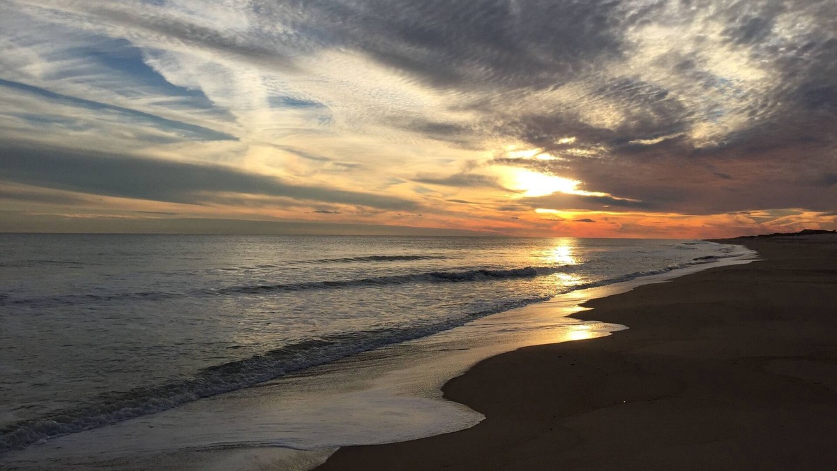 Napeague House | Amagansett Beach House - Call/text 917-816-2495 for last minute reservations