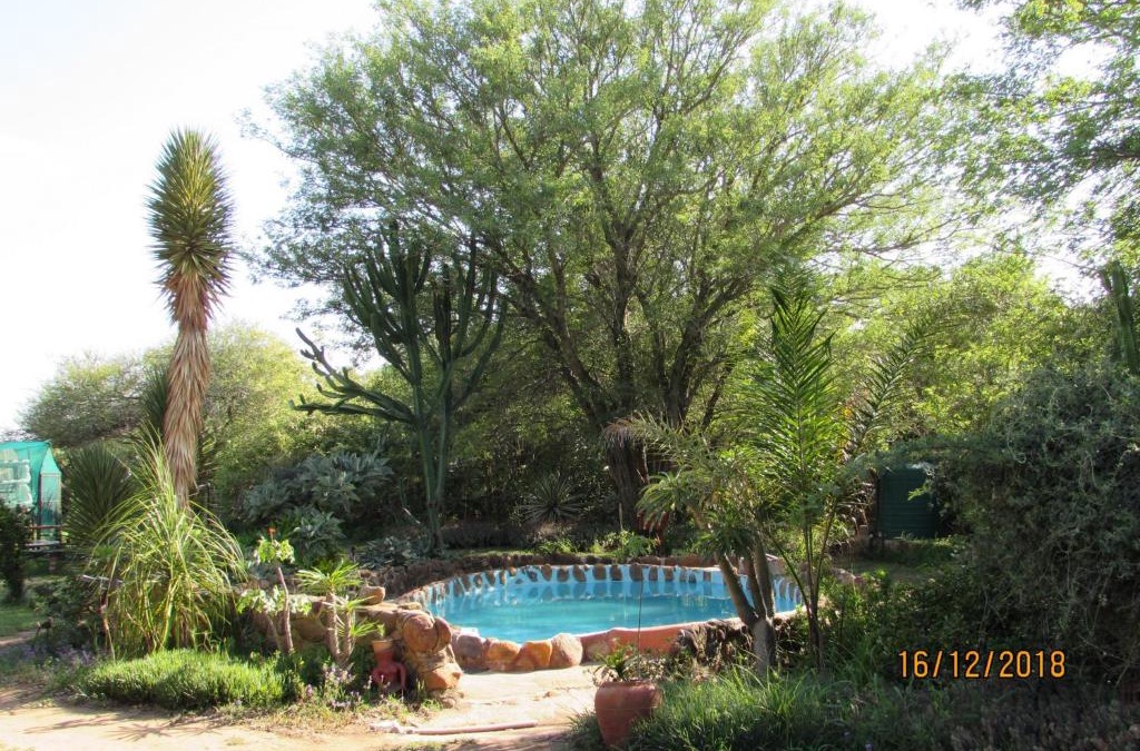 Thorny Bush Game Reserve Other | Amanzimlotzi Riverside Bush Camp