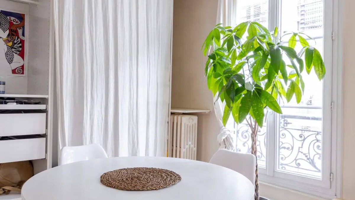 Faubourg-du-Roule Apartment | Amazing 1 bedroom near Champs Élysées and Étoile