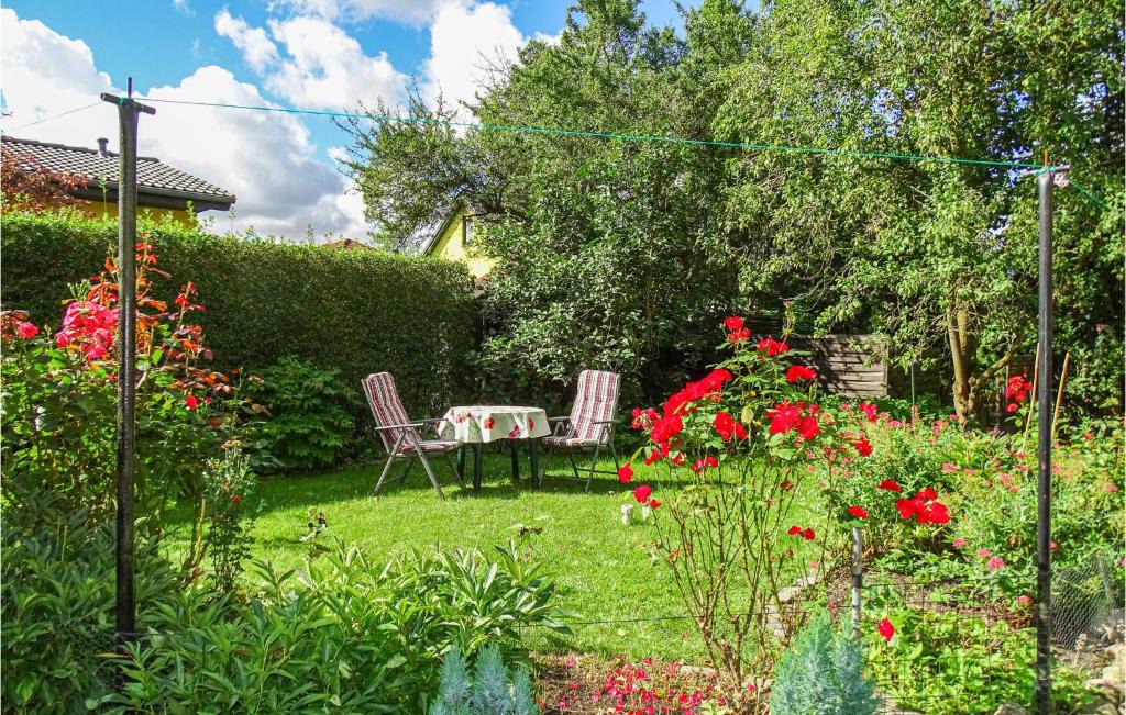 Lubstorf Apartment | Amazing apartment in Lübstorf with 1 Bedrooms