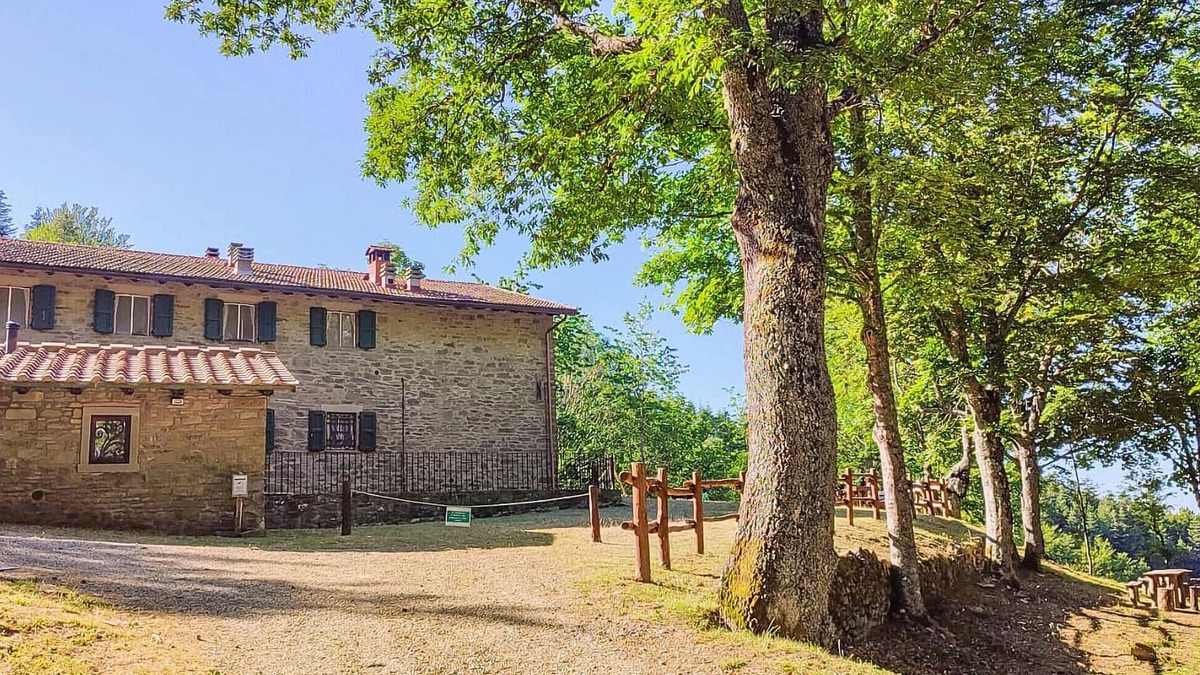 Subbiano Apartment | Amazing apartment in Subbiano