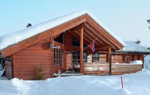 Tokke House | Amazing Home In Dalen With Wifi