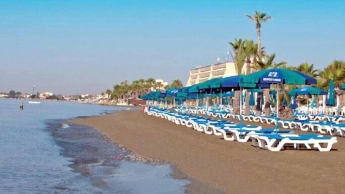 Oroklini Apartment | Amazing location, surrounded by palm trees and just 200 meters from the beach!
