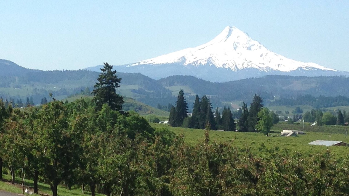 Hood River House | Amazing Mt. Hood and Valley Views at Ziphaus!