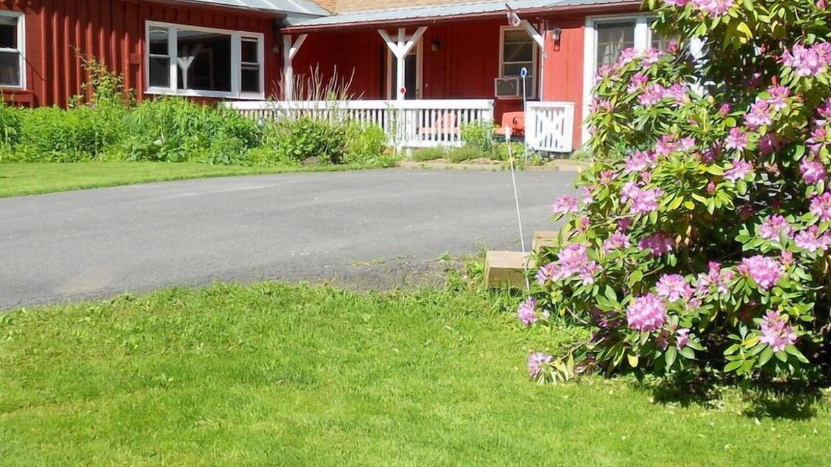 Shelburne Falls Bed & Breakfast | Amazing People & Pet-Welcoming Country Haven
