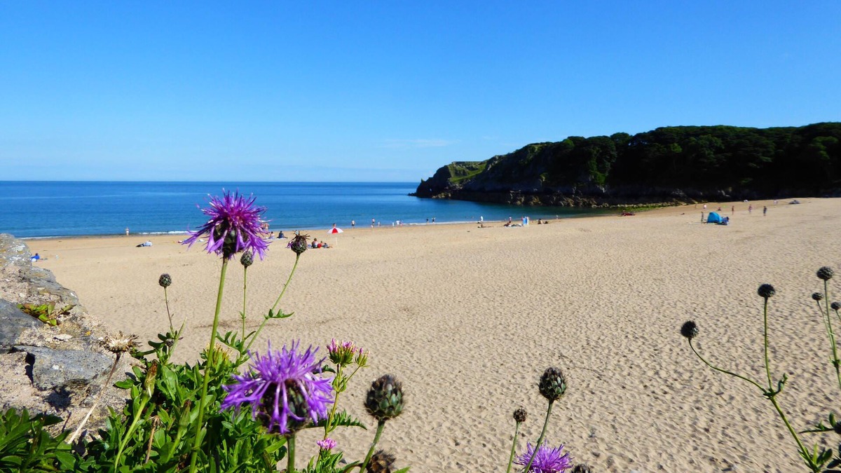 Angle House | Amazing Sea Views, walk to the beach. Dog Friendly.