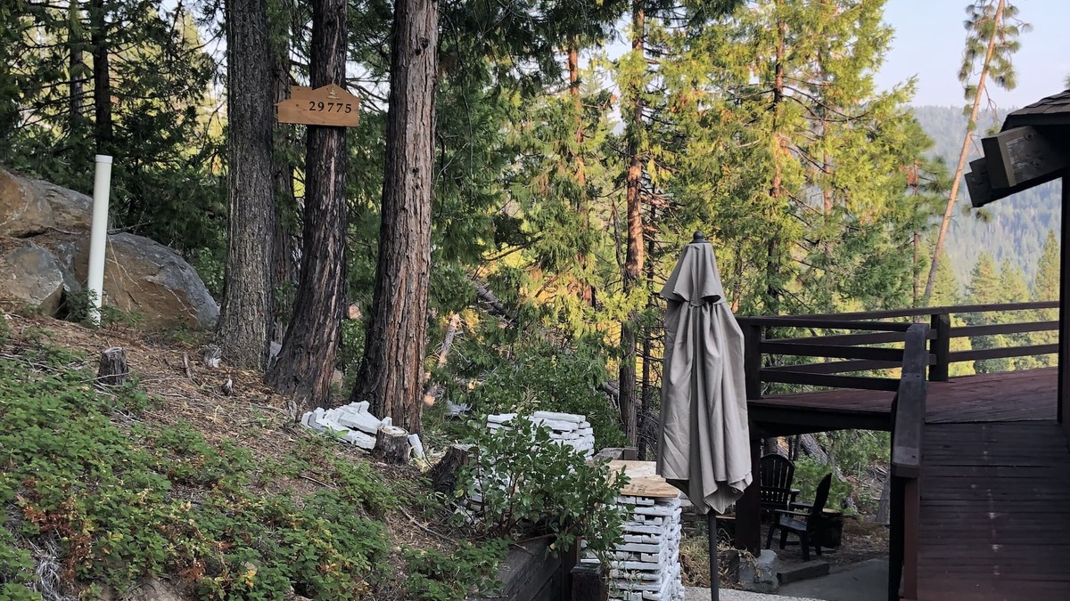 Cold Springs Cabin | Amazing tree house with magical view!