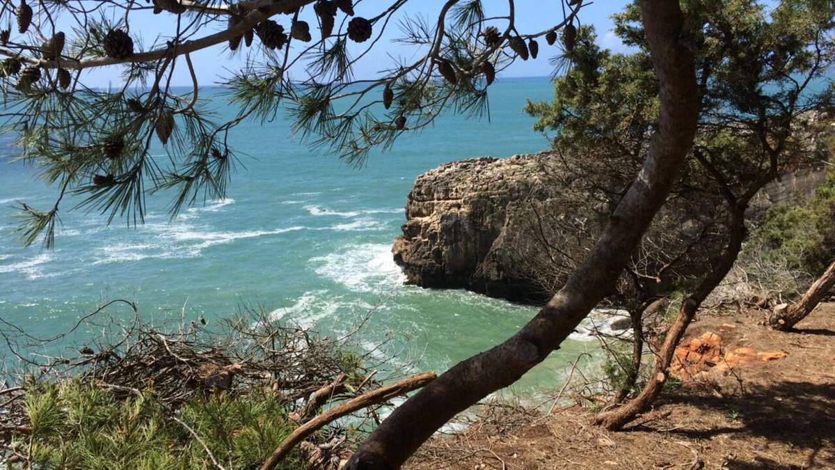 Parede Villa | Amazing view Villa of S. Pedro do Estoril Beach