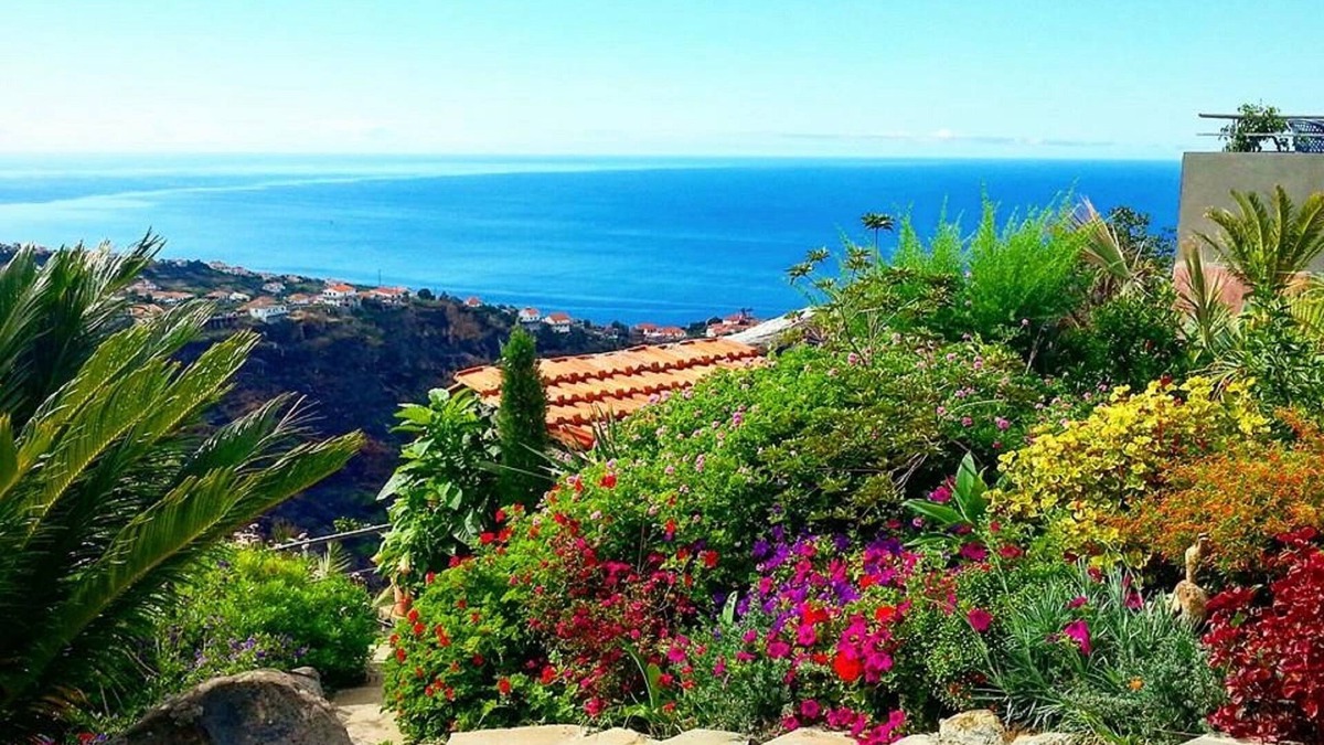 Estreito da Calheta House | Amazing views, large terrace and garden.