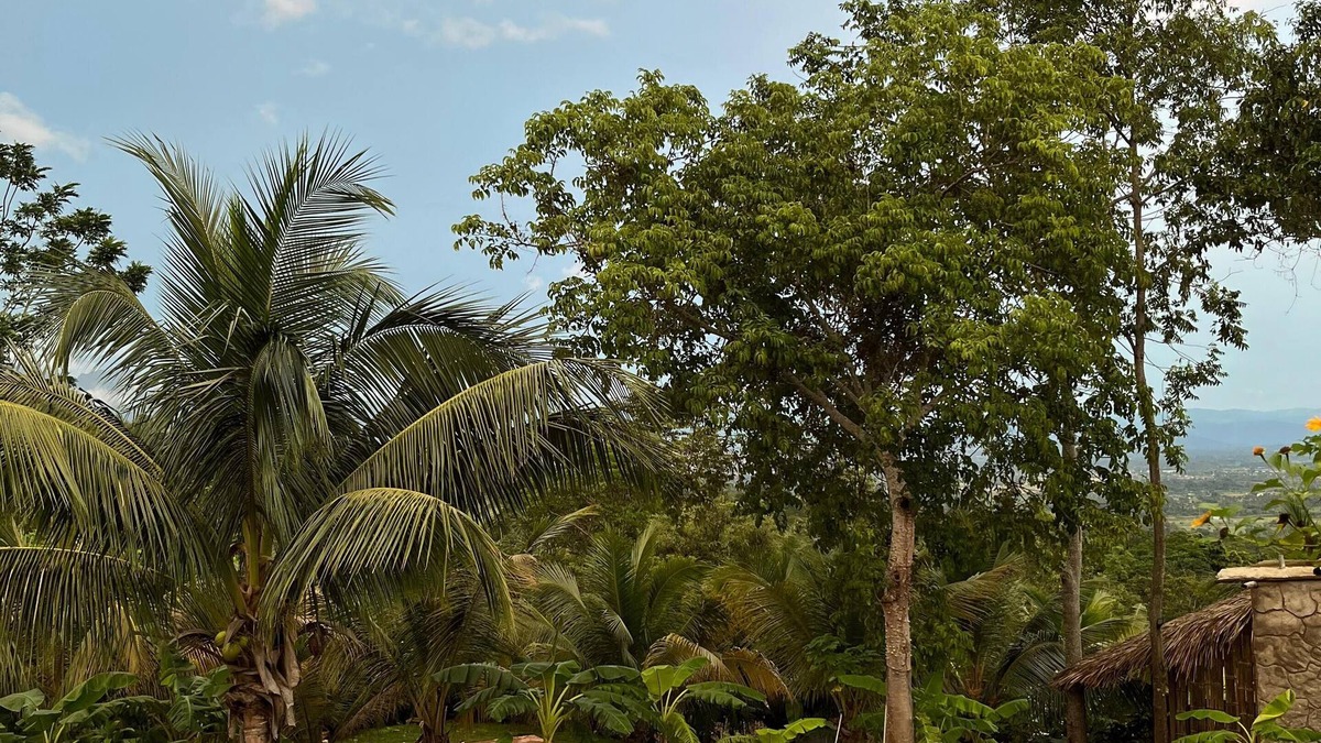 Cacatachi Cottage | Amazon Paradise WiFi Starlink Work or Relax