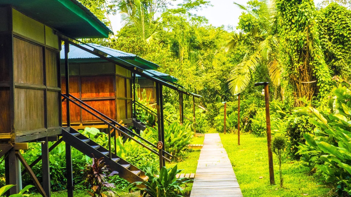 Tambopata Cabin | Amazon Planet