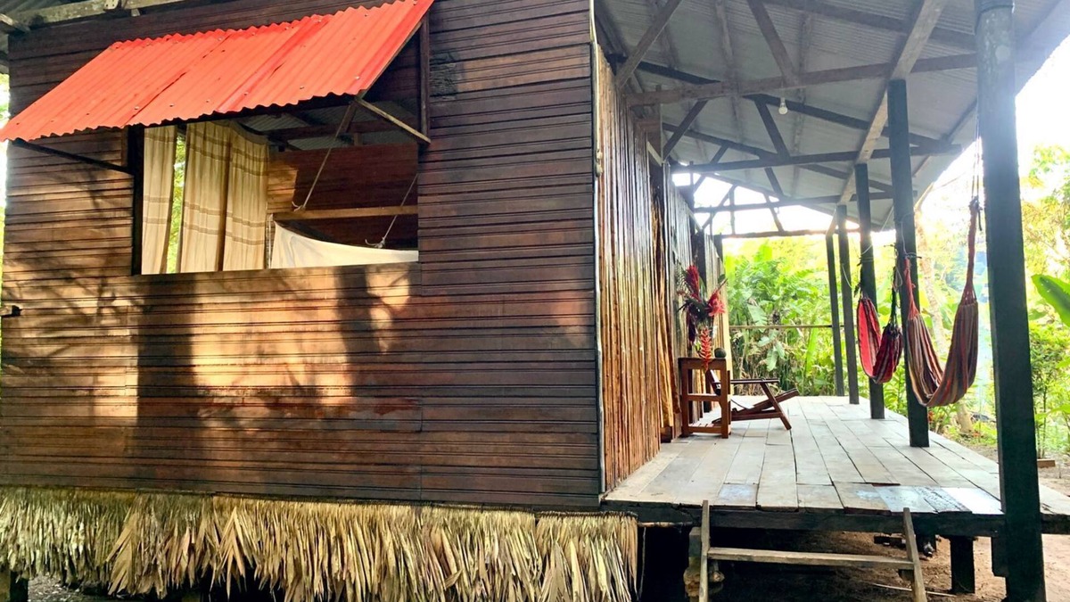 Puerto Maldonado Hotel | amazonian oropendola tambopata