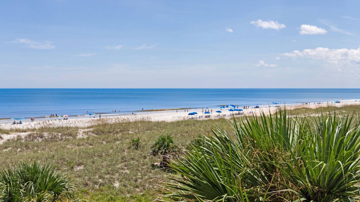 Ocean Cay Condo | Amelia Island 1 BR Seaside Escape at Terraces at Beachside