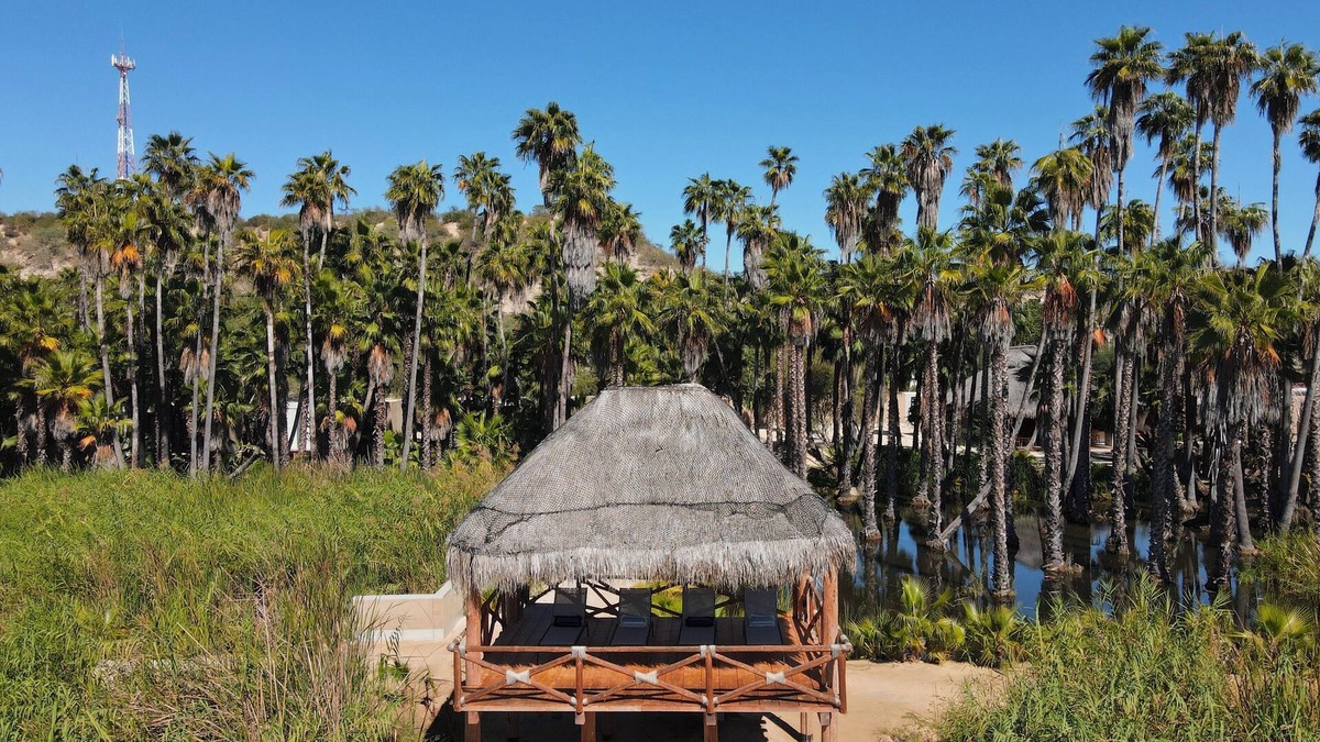 Santiago Hotel | Amet Nature Retreat