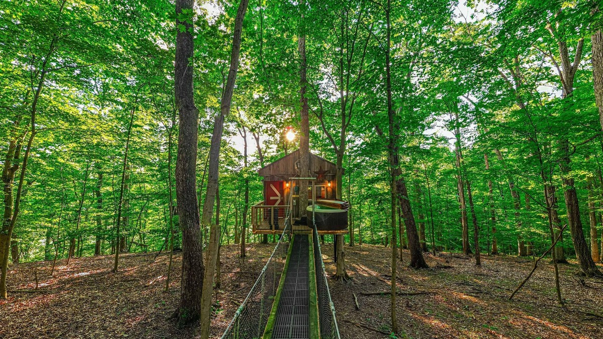 Logan Cabin | Among the Trees - The Clubhouse