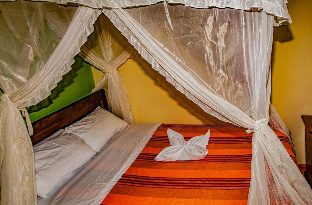 Archidona House | AMUPAKIN
