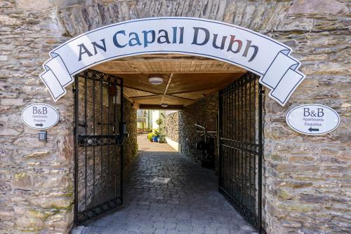Dingle Bed & Breakfast | An Capall Dubh B&B Dingle