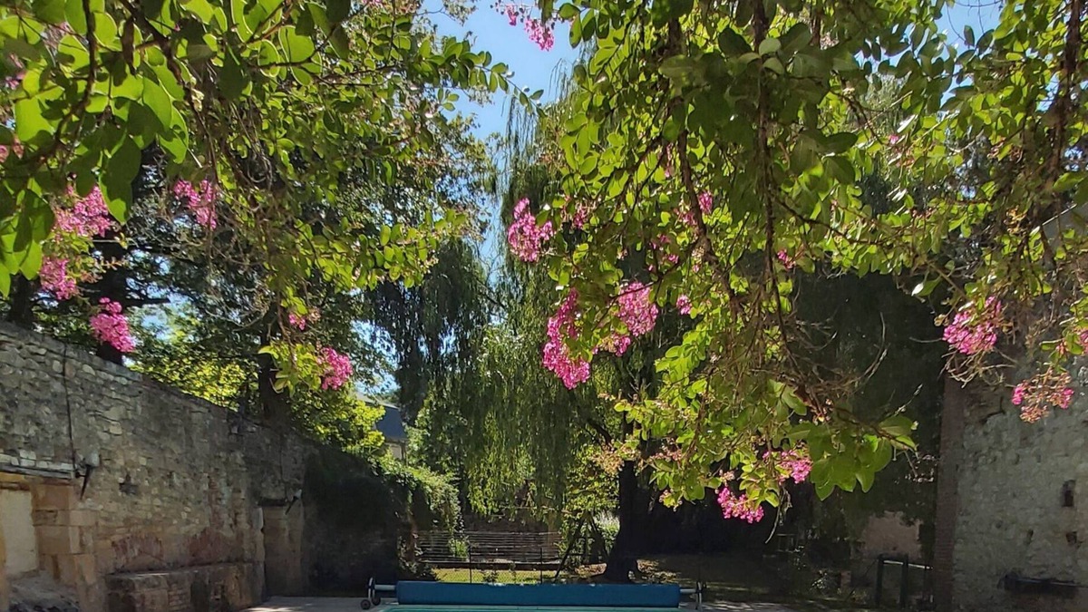 Fumel House | Ancienne Poterie au Calme Dans Parc Arboré Avec Grande Piscine