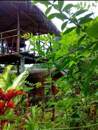 Mawanella Cabin | Ancient Gardens Villa