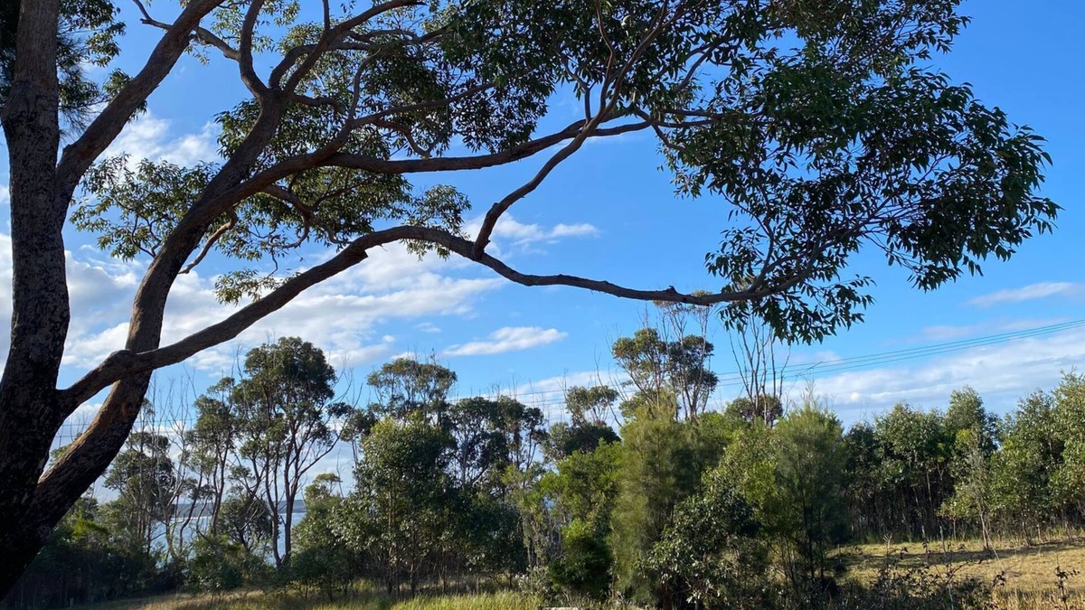 Bendalong House | Andagen minutes walk to Washerwomans beach
