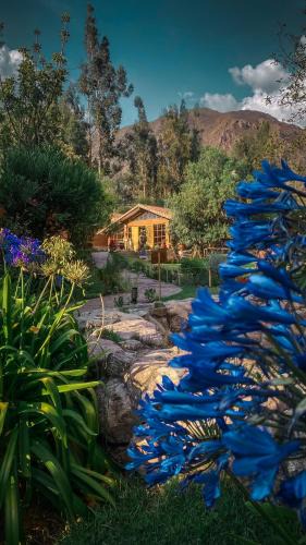 Urubamba Hotel | Andean Wings Valley