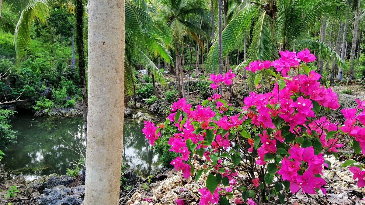Anda Hotel | AndNindot Garden Resort