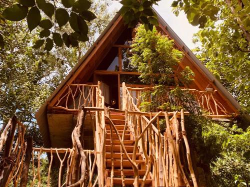 Habarana House | Angry Birds Tree house