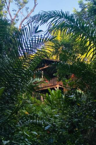 Velha Boipeba Hotel | Anjali