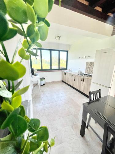 Piane Vecchie House | Anna holidays