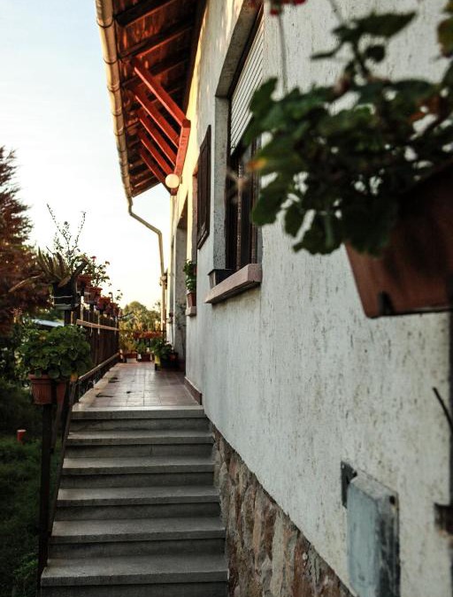 Telki House | Anna Hunor