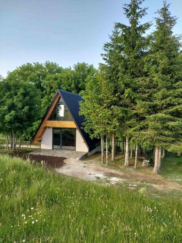 Virak Ski Chalet | Anovi house