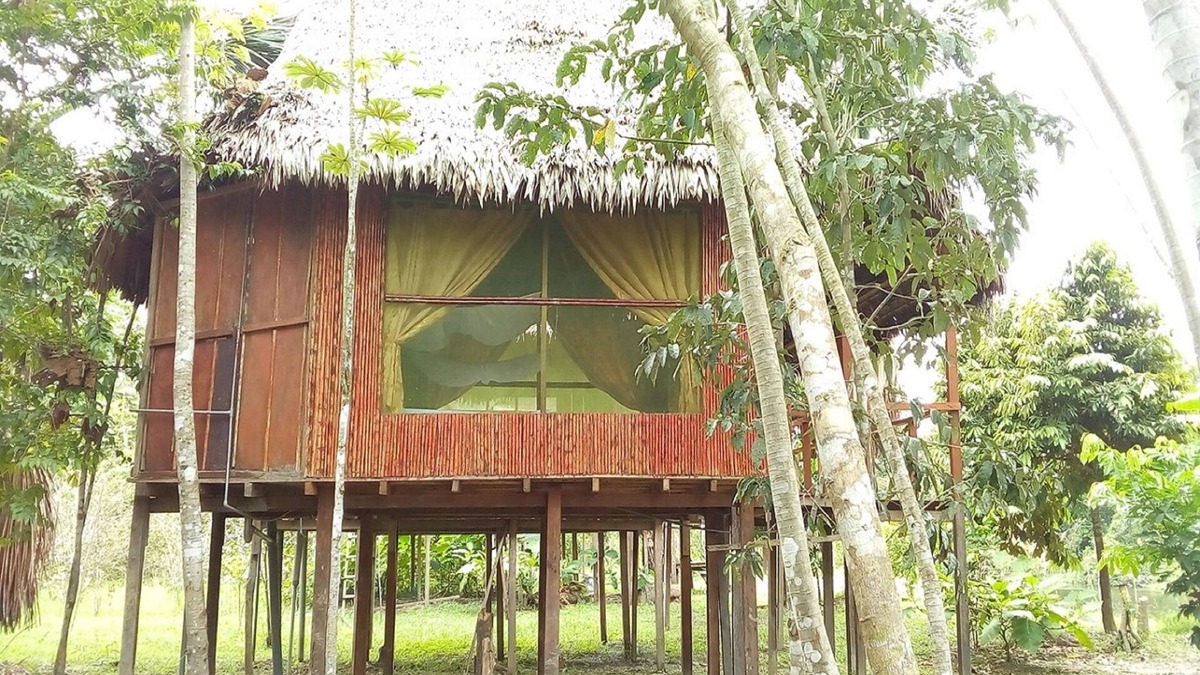 Nauta Cabin | Antares Amazon Lodge