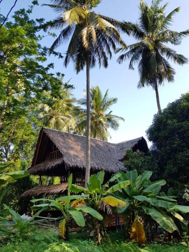 Ko Yao Hotel | Antonio's Ko Yao Noi