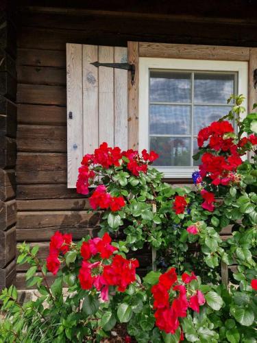 Anyksciai Cabin | Anykščiai MĖNULIO AKMUO