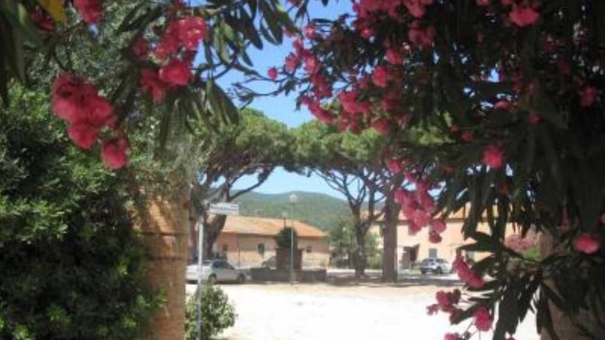 Pian di Rocca Apartment | Apartment/flat - Castiglione della pescaia